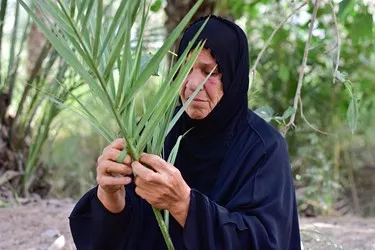استان خوزستان؛ سرزمین رودها، نفت و تمدنهای کهن 14020320000100638219797512661409_68612_PhotoX