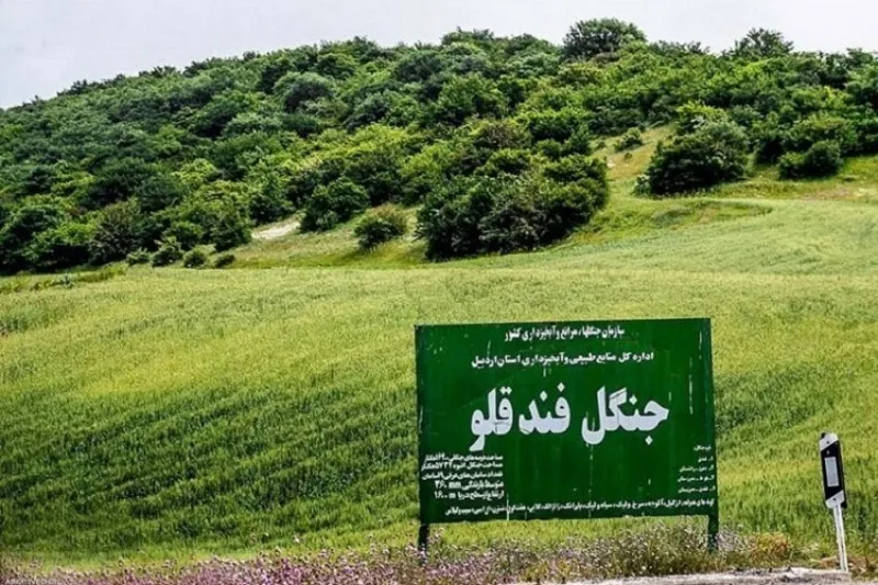 قوانین اراضی ملی، روند اعتراض و واگذاری زمین جنگل فندقلو