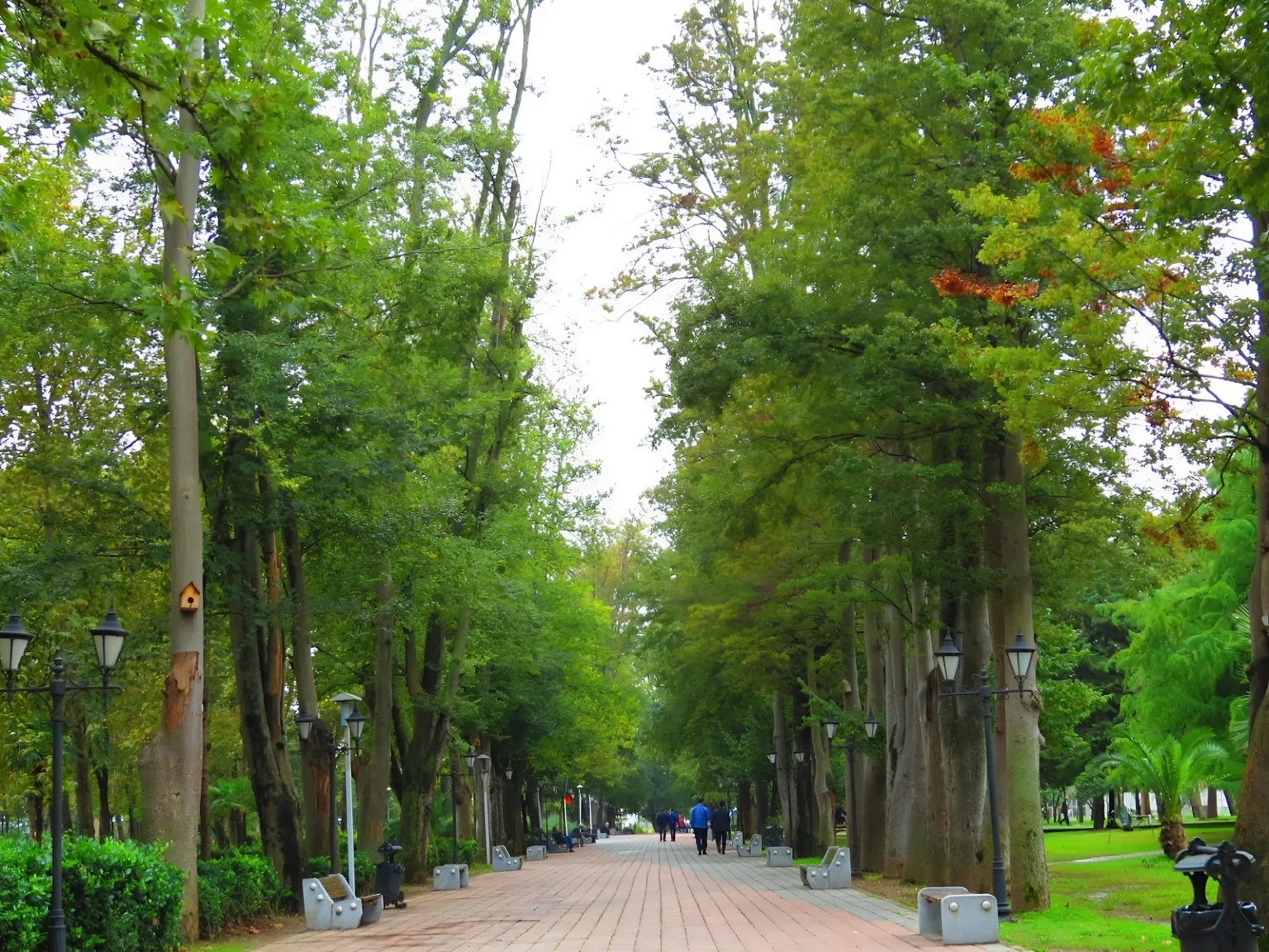 راهنمای سفر به رشت|جاهای دیدنی،رستورانها و مراکز خرید باغ محتشم