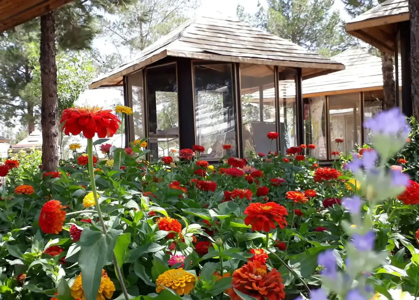 آشنایی با شهر قم بوستان جنگلی غدیر