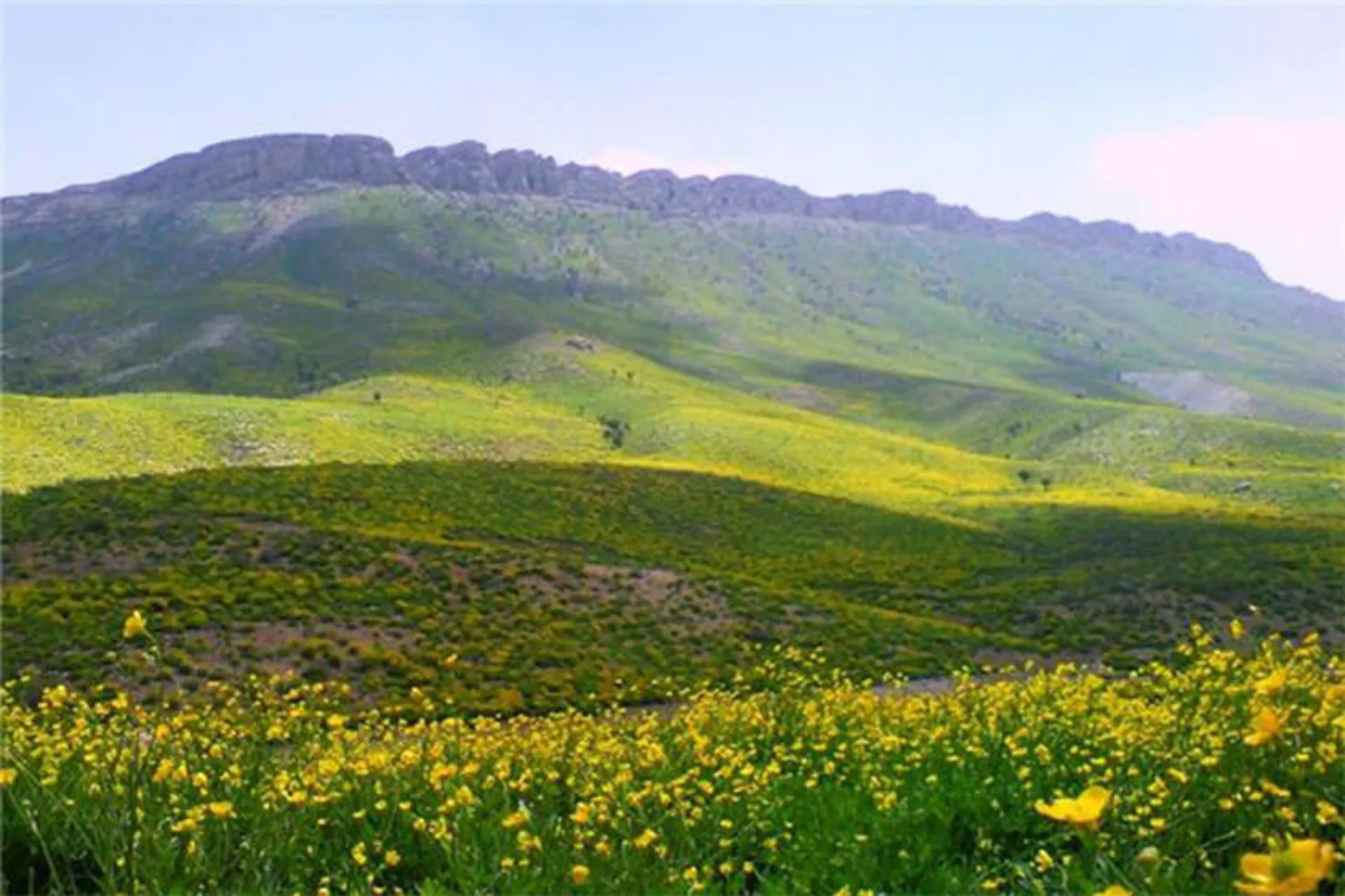 راهنمای سفر به یاسوج|جاهای دیدنی،رستورانها و مراکز خرید دشت راق