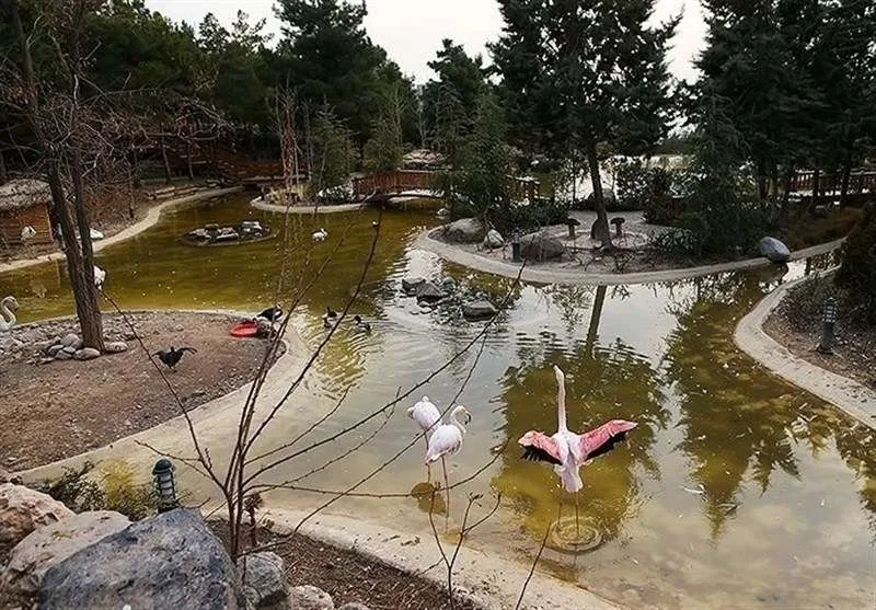 آشنایی با شهر بیرجند پارک جنگلی بیرجند