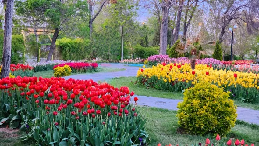 راهنمای سفر به اراک|جاهای دیدنی،رستورانها و مراکز خرید پارک ملت