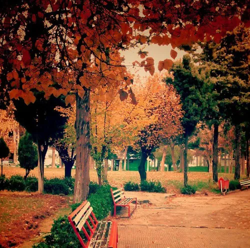 راهنمای سفر به ایلام|جاهای دیدنی،رستورانها و مراکز خرید پارک ملت ایلام