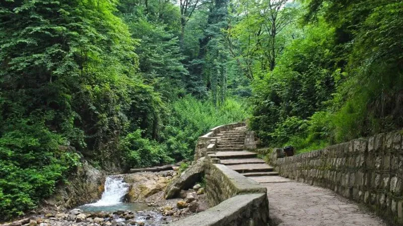پارک جنگلی سوکان