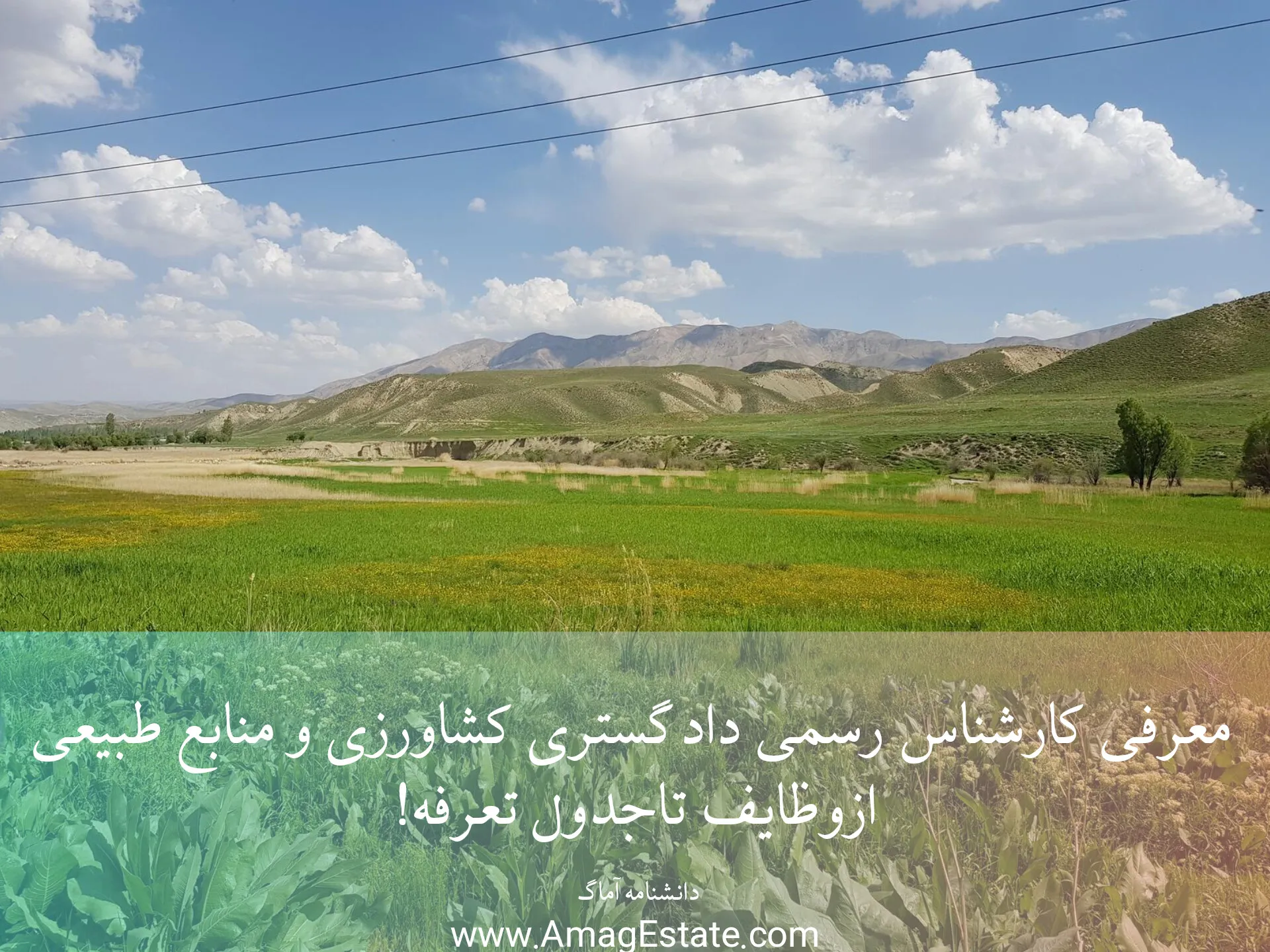 کارشناس رسمی دادگستری کشاورزی و منابع طبیعی