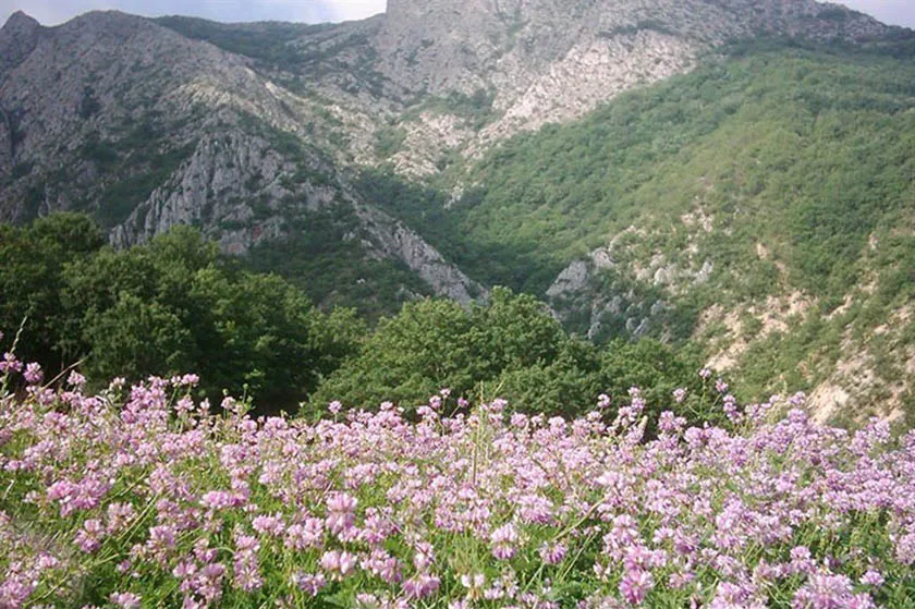 استان خراسان شمالی : سرزمین اقوام و فرهنگ ها روستای درکش