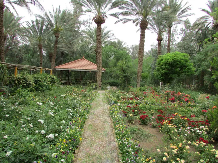آشنایی با شهر یزد پارک آهن شهر