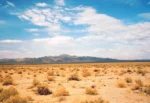 زمین موات
