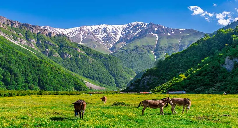 استان مازندران؛ رگ سبز ایران، قلب تپنده گردشگری و تجارت دشت دریاسر