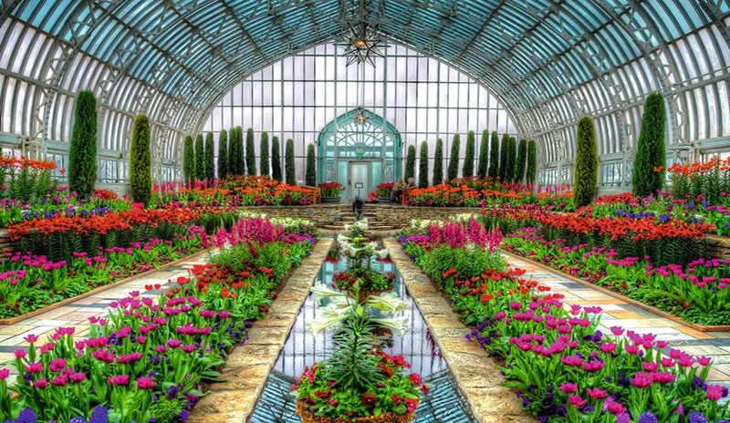 گلخانه ای در پاکدشت